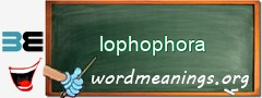 WordMeaning blackboard for lophophora